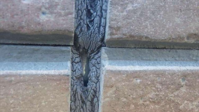 アパートの健康診断